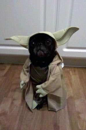 Юра Травкин | Харьков