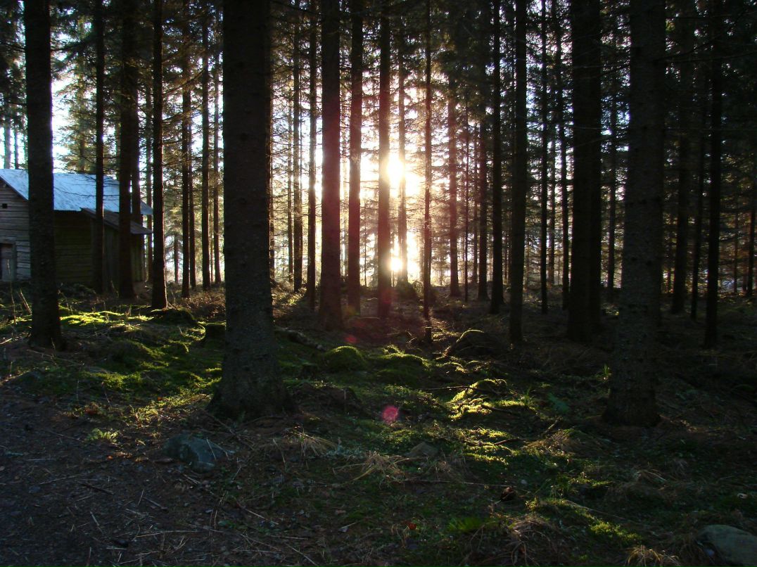 Александр Петренко | Санкт-Петербург