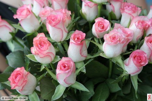 Николай Русинов | Пермь