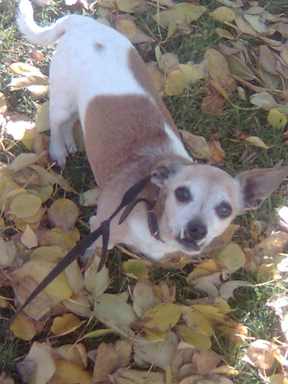 Ярослава Хамидуллина ♚ | Нижнекамск