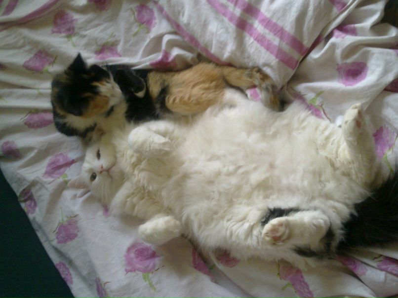 Даша Бастрыкина | Тверь