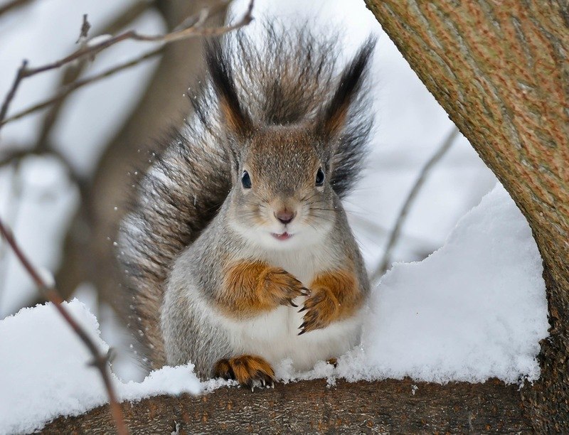 Валерия Романова | Киев