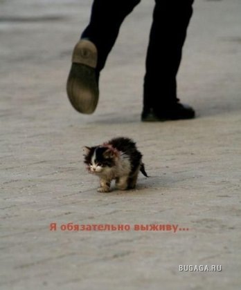 №35, Анна Тикко, Санкт-Петербург №35, Анна Тикко, Санкт-Петербург