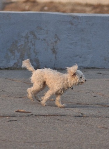 №8, Дима Сирик, 42 года, Киев №8, Дима Сирик, 42 года, Киев