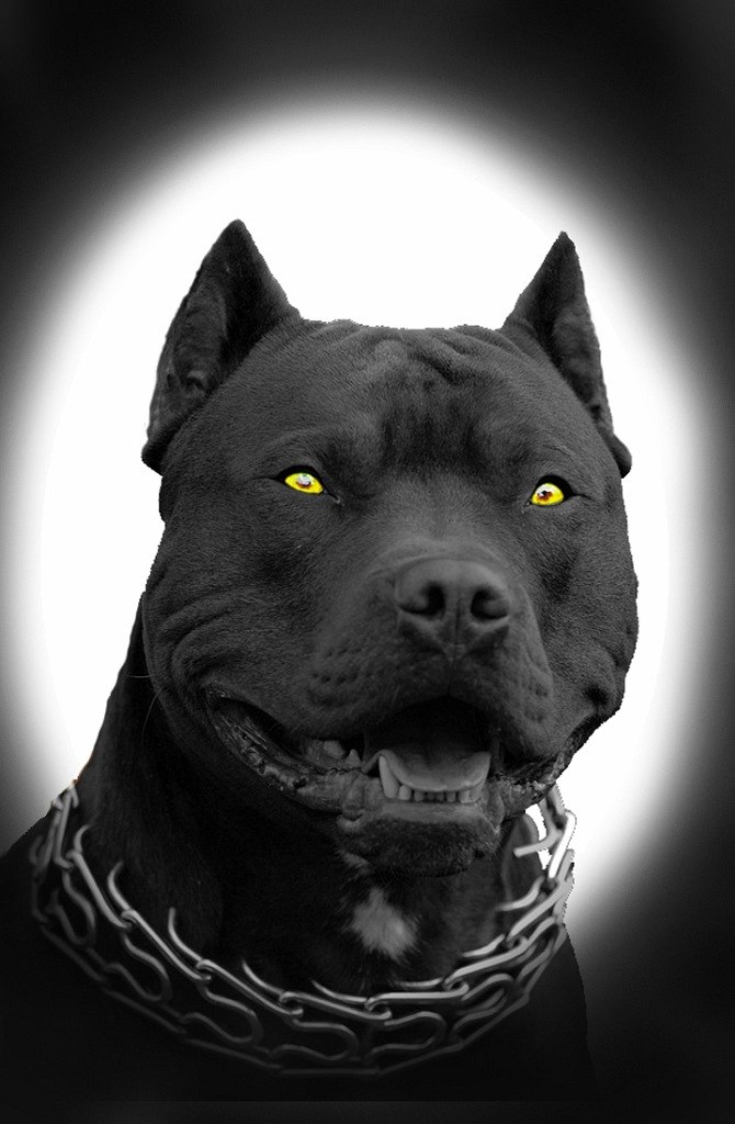 Валерка Сексяев | Бирск