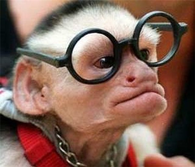 Мария Росина | Новосибирск