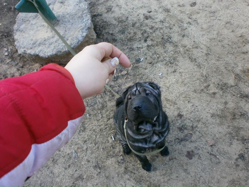 Алёна Швец | Херсон