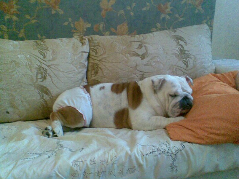 Оля Редина | Санкт-Петербург