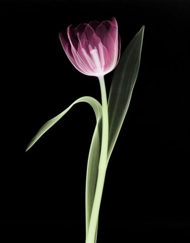 Галина Гаврилко | Богородчаны