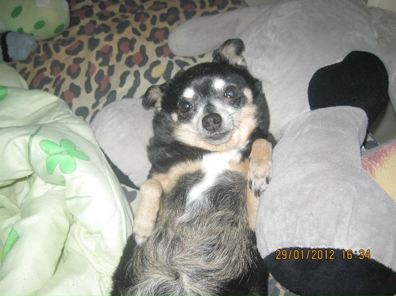 Ольга Косогорская | Орск