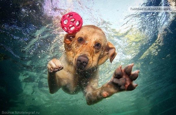 Alex Black | Киев