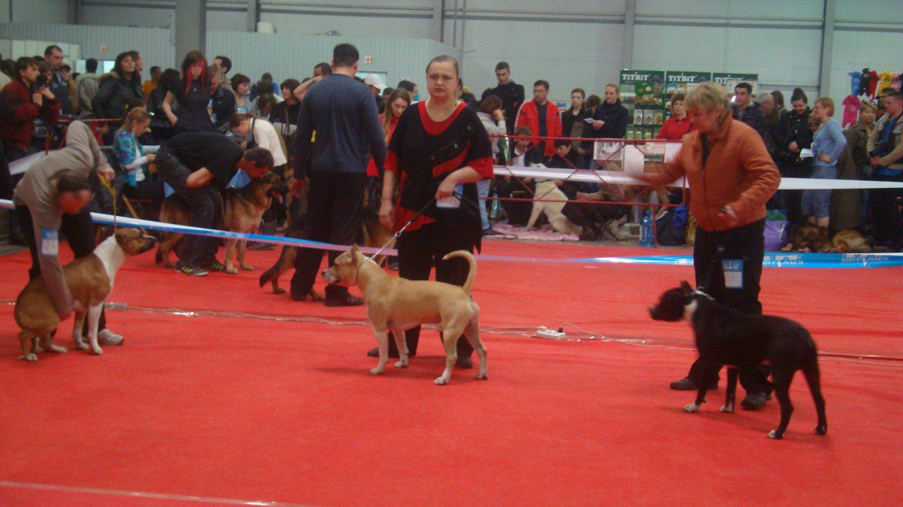 Александр Лозовой | Киев