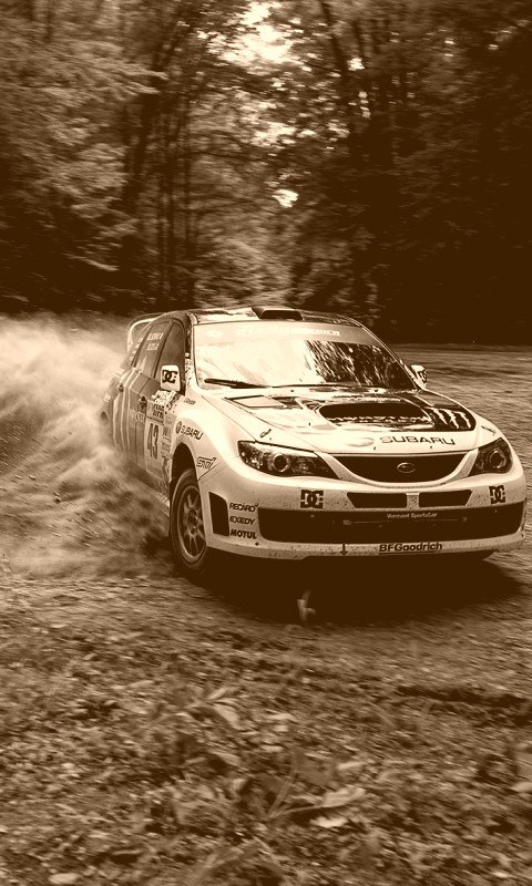 Даниил Суттер | Синельниково