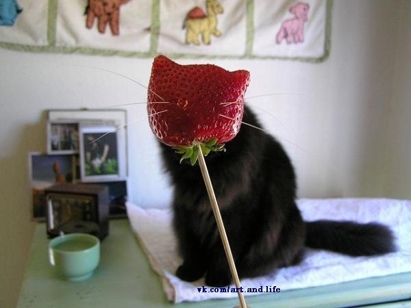 Оксана Шельма | Донецк