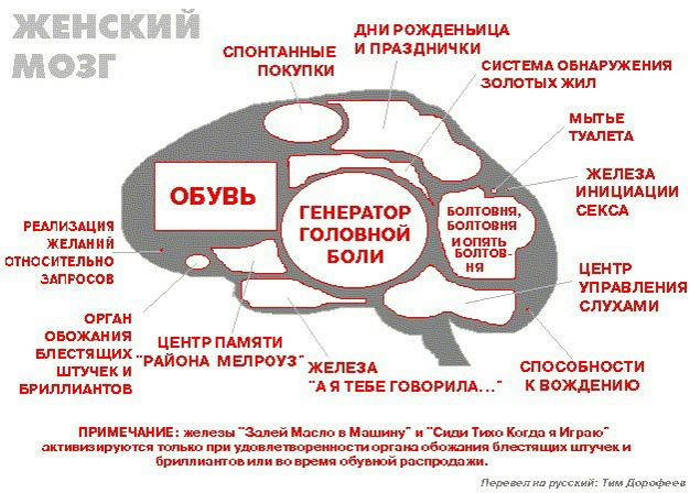 №21, Ренат Шабанов, Баку №21, Ренат Шабанов, Баку