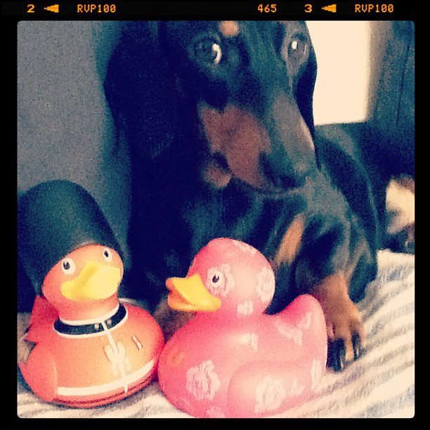 Alexander Babakov | Москва