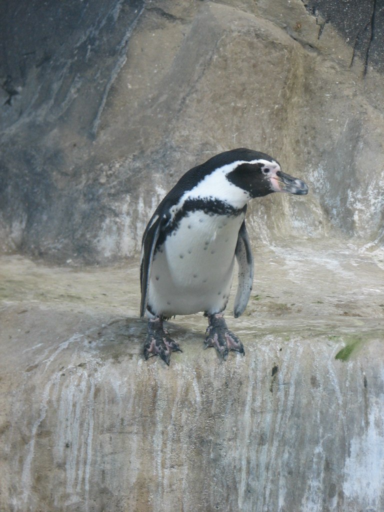 Николай Зырянов | Екатеринбург