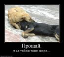 Фотография Гарик Мошаров