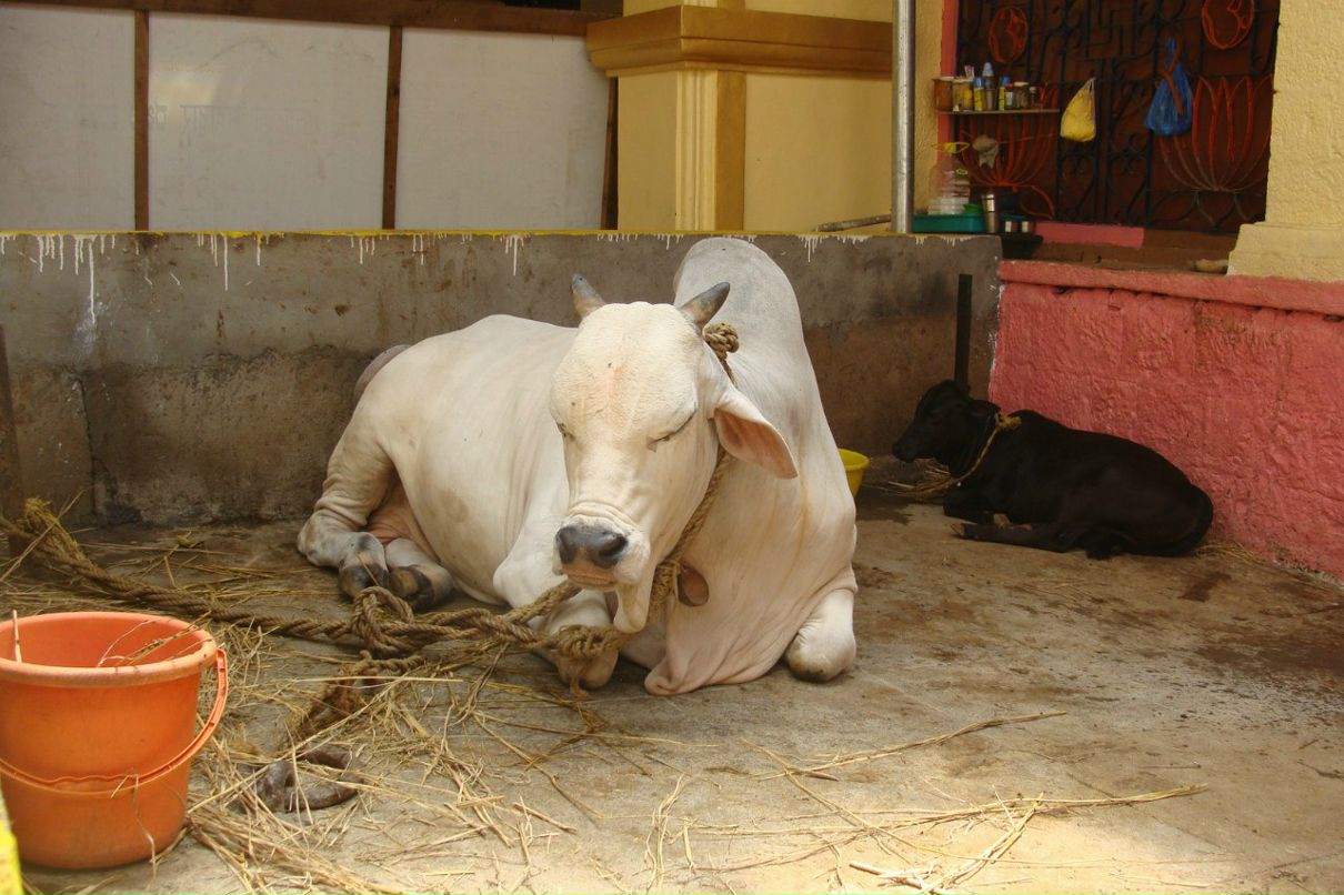 Татьяна Полякова | Рязань