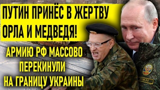 ПУТИН ПРИНЁС В ЖЕРТ.ВУ ОРЛА И МЕДВЕДЯ! ЖИРИКА ОТРАВИЛ ЛЮБОB.NИК!