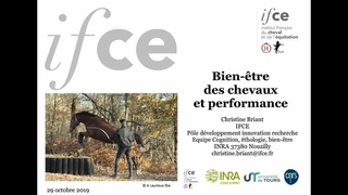 Bien etre et performance - Christine Briant