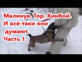 Малинуа Тор.  Защита хозяина.  Кинбой.