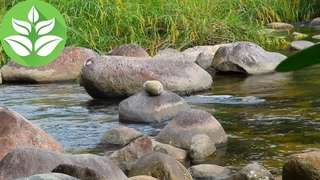 Small river [10 hours] Stream relax sounds (White noise for sleep)