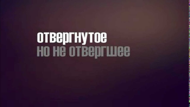Бездомная. , В защиту бездомных животных