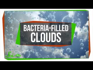 Bioprecipitation: How Bacteria Makes Snow