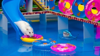 🐹MEGA HAMSTER RACE 🐹 maze with Traps hamster🐹 Minecraft Maze😱OBSTACLE COURSE😱