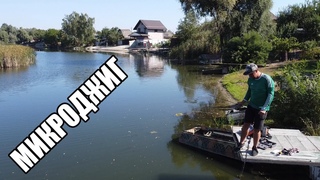 Что сегодня МИКРОДЖИГ нам скажет?