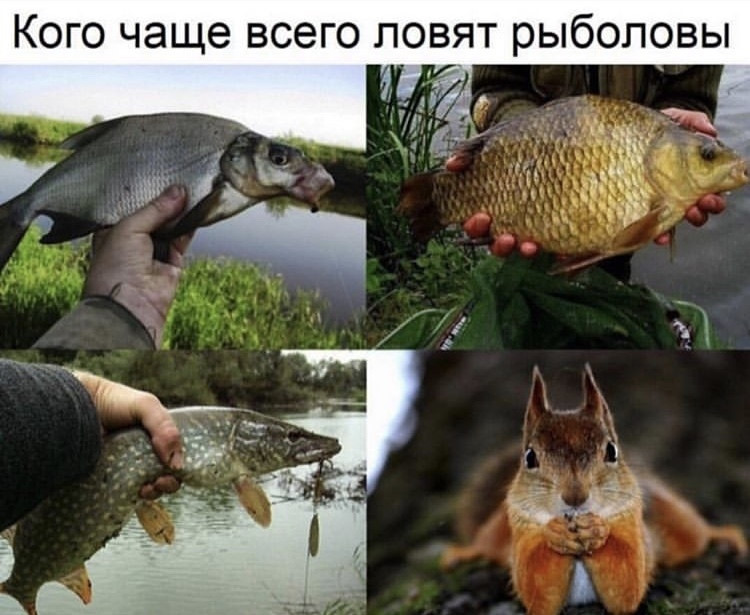 интеллектуальные вопросы с ответами