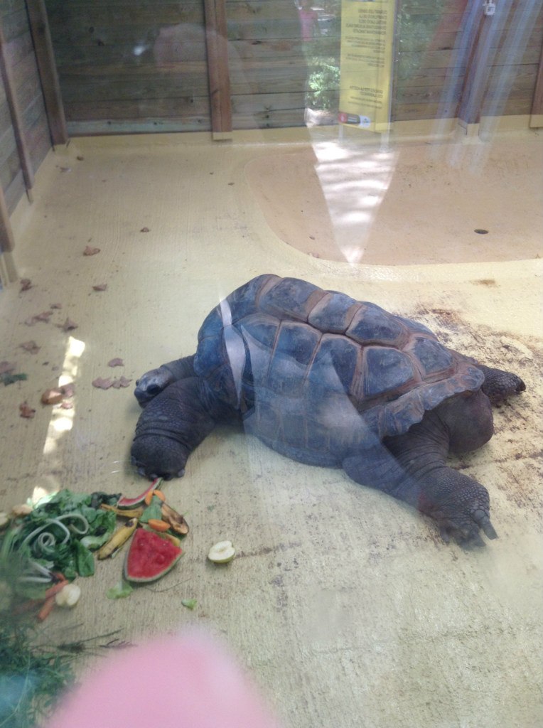 Паха Гурбан | Санкт-Петербург