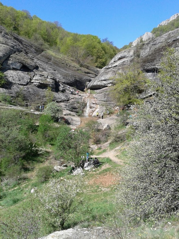 Роман Герасименко | Бровары