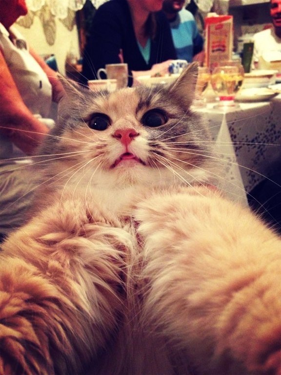 Екатерина Баулина | Москва