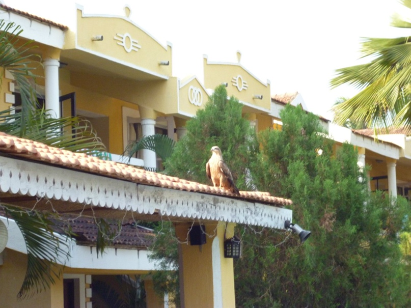 Леша Дубровский | Кемерово