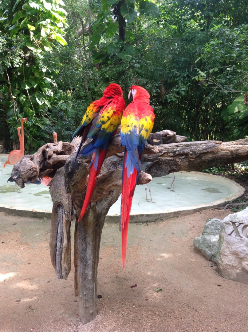 Анна Майстренко | Салават