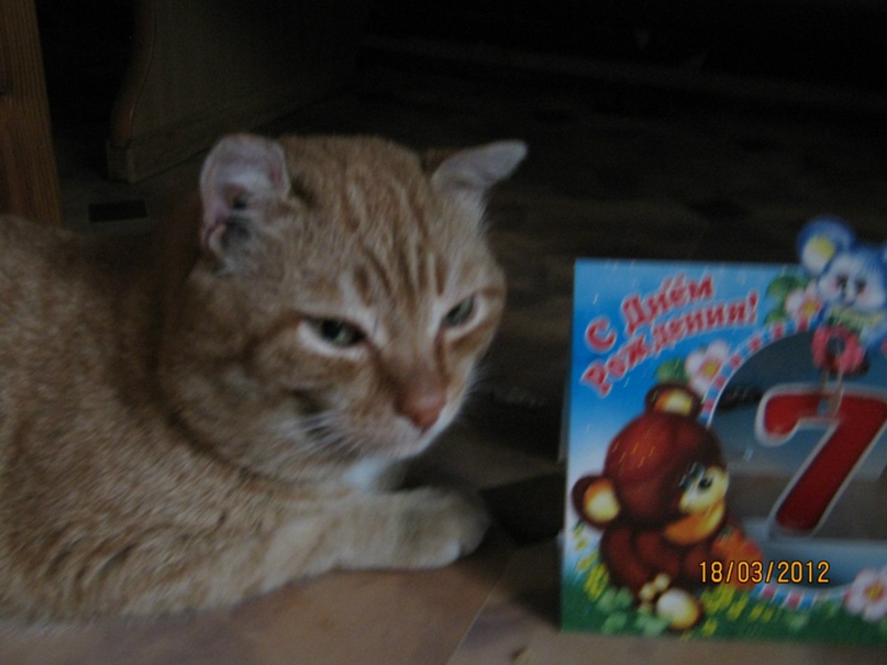 Ольга Могутова | Кыштовка