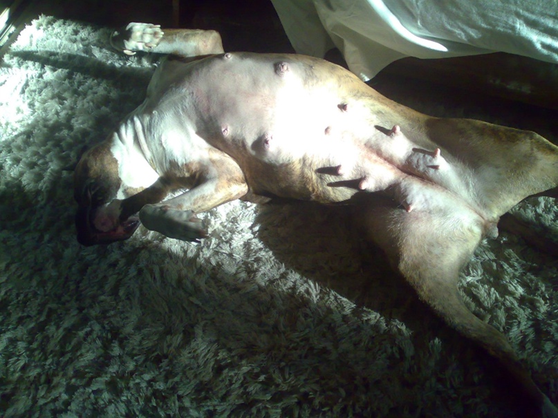 Екатерина Смольникова | Тольятти