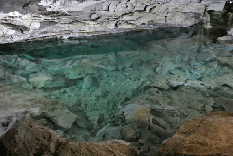 Андрей Пивоваров | Новосибирск