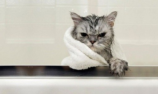 Сергей Скляр | Липецк