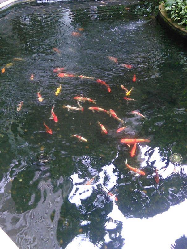 Юлия Маркова | Самара