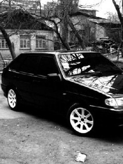 Роман Камынин | Воронеж