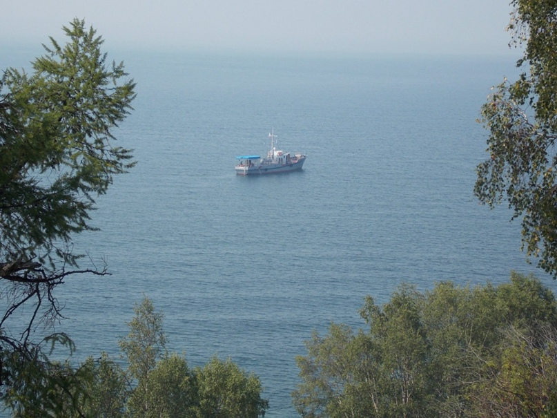 Алексей Плотников |