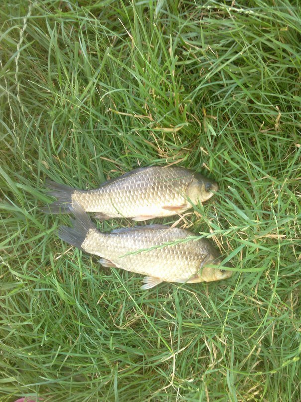 Юра Осипов | Одесса