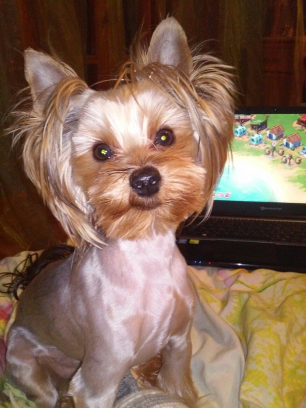 Мария Королева | Симферополь