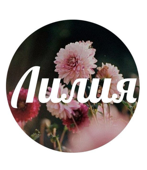 Имя лилия фото Имя лилия фото