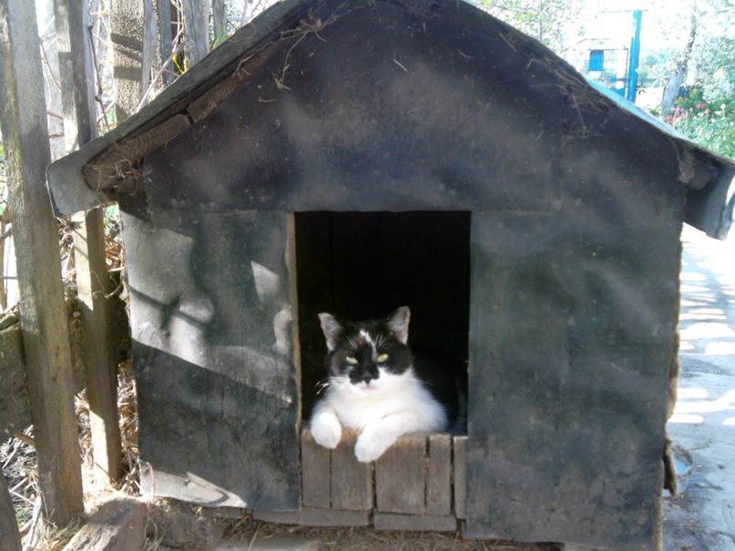 Сергей Рязанцев | Тербуны