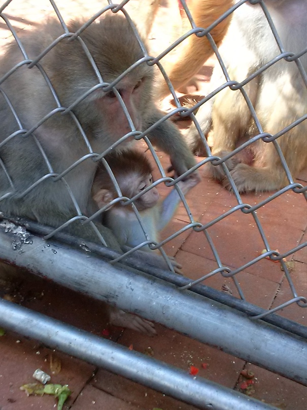 Елена Шмонина Александровна | Самара