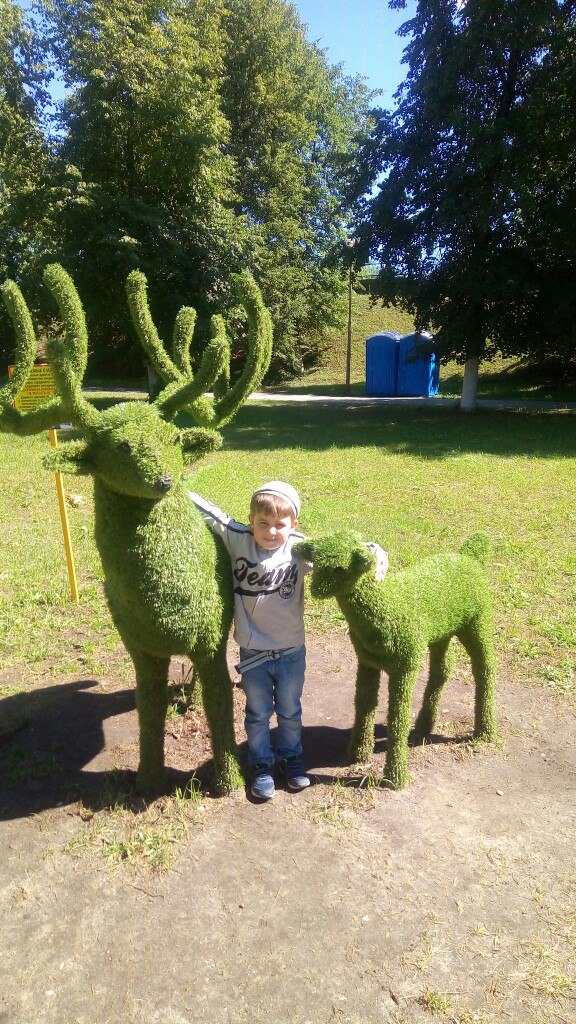 Александр Сорока Владимирович | Клин